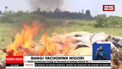 Police burn bhang  in Migori.