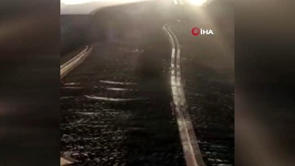 - İran'da tren kazası: 4 ölü, 35 yaralı