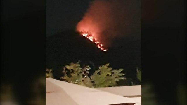 파주 야산에서 불...다친 사람 없어 / YTN