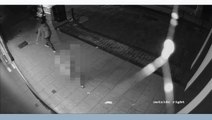 CCTV sexual assault