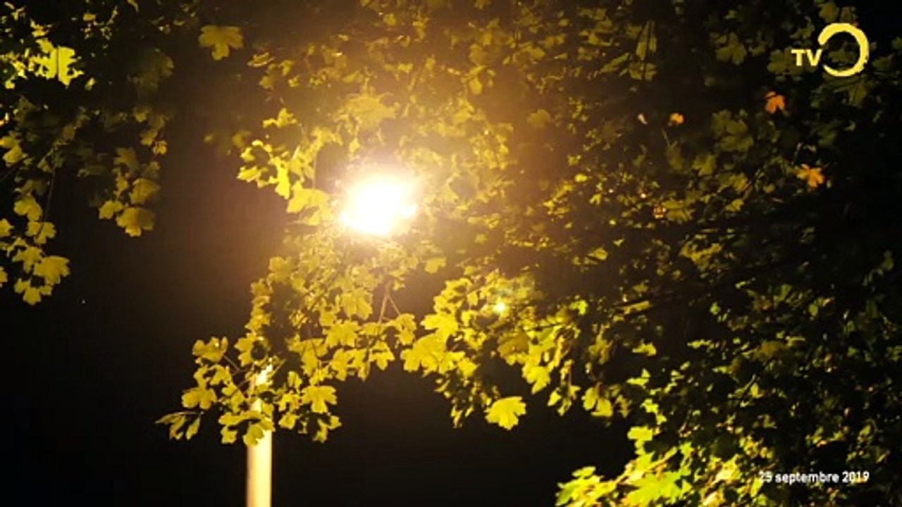 Sujet: la nuit est belle !
