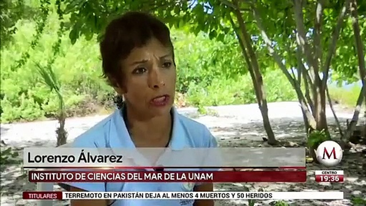 Cierran zona de arrecifes en Cozumel