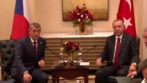 Erdoğan, çekya başbakanı andrey babis ile görüştü