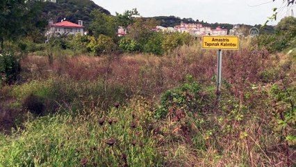 Amasra'da tapınak kalıntıları bulundu - BARTIN