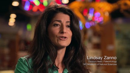 CURIOSITYSTREAM - AVANÇO: A LINHA DO TEMPO DO T-REX