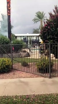 Firefighters Put Out Burning Palm