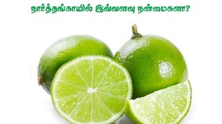 Health Benefits Of Citron | நார்த்தங்காயின் மருத்துவ குணங்கள் | Health Tips In Tamil | Dhalam TV