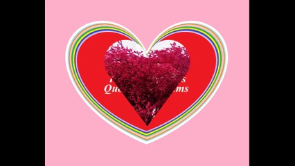 My love for you is not  a tree, but grow up every day! [Quotes and Poems]