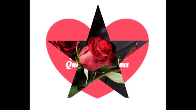 Toda mulher ama um homem romântico, especial em todos os momentos... [Frases e Poemas]