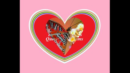 Borboletas tem asas para voar, eu tenho um coração... [Frases e Poemas]