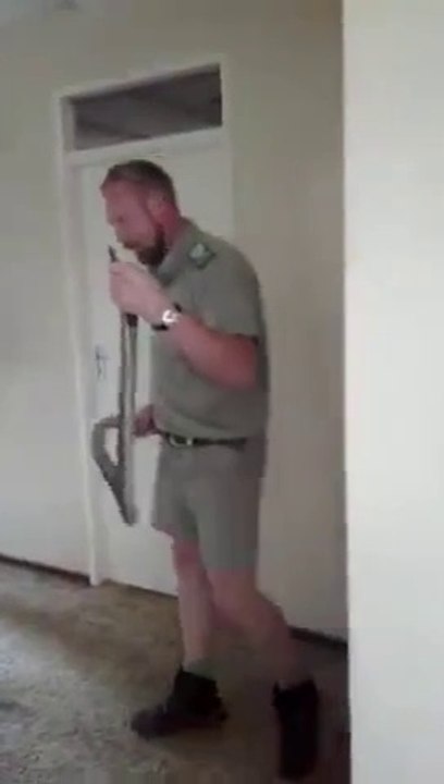 Pas simple de sortir un serpent des toilettes... !