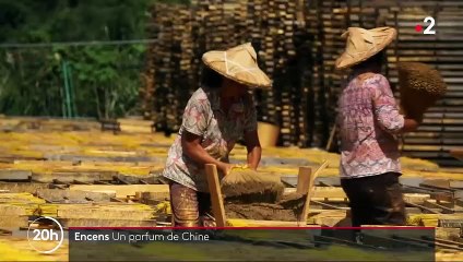 Chine : sur la route de la production d'encens