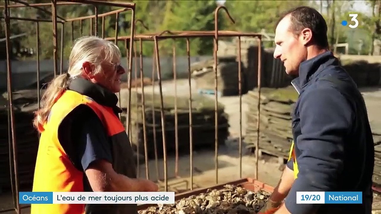 L'eau des océans plus acide, sous l'effet du réchauffement climatique