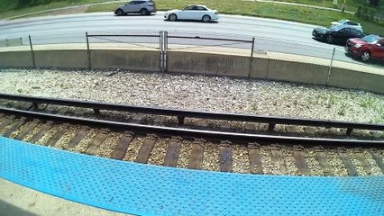 46 Fatima Pilgrimage walk across USA  #City livin Curbside