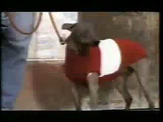 Spot Cristal: La hermandad-Fiestas patrias 2007