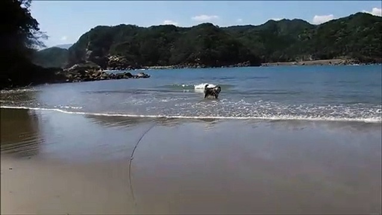 白浜海岸2