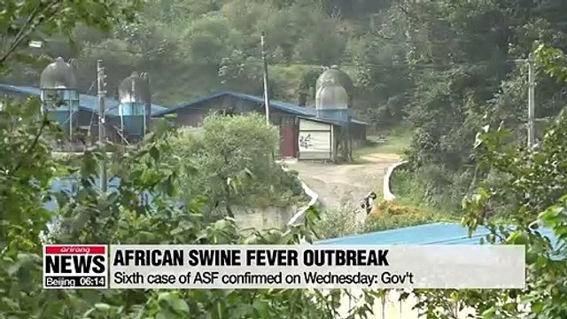 Sixth case of African swine fever confirmed in S. Korea