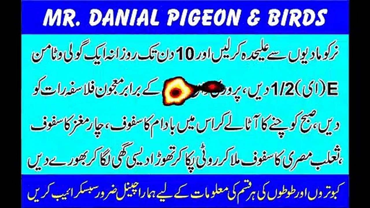 Boot Dalny ka Behtreen nuskha