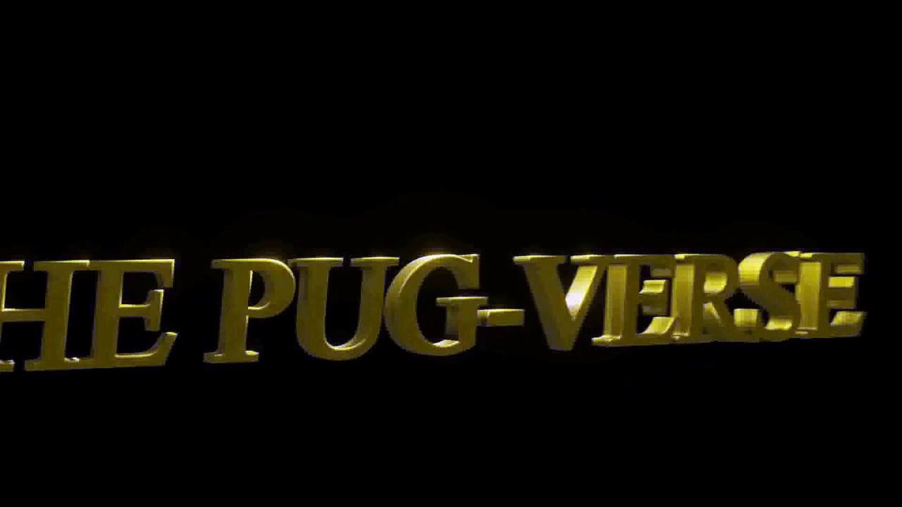 pug intro