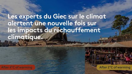 Un mètre d'eau en plus d'ici à 2100 : voici les conséquences sur six villes et régions du monde