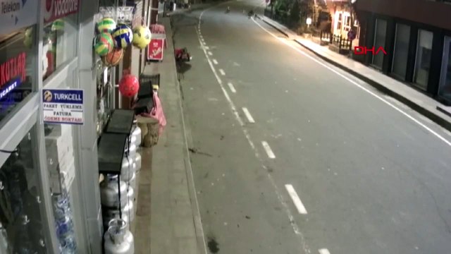 Rizenin Çamlıhemşin ilçesine inen ayıyı sokak köpekleri kovaladı