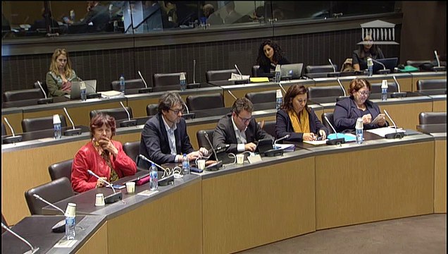 Délégation aux droits des femmes : Livre Blanc sur la lutte contre les violences conjugales - Mercredi 25 septembre 2019