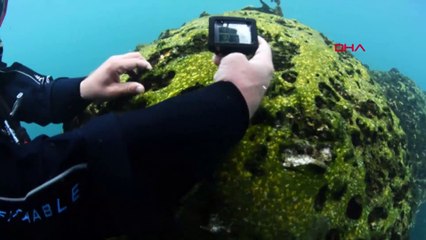 Dünyanın en büyük mikrobiyalitleri tespit edildi