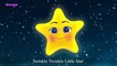 Twinkle Twinkle Little Star | Nursery Rhymes and Baby Songs by Nani and Babu