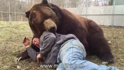 Ayı Jenny, Oyuncak Ayısına Sarılıyor!