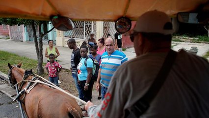 Cuba recurre a la tracción animal ante la falta de combustible