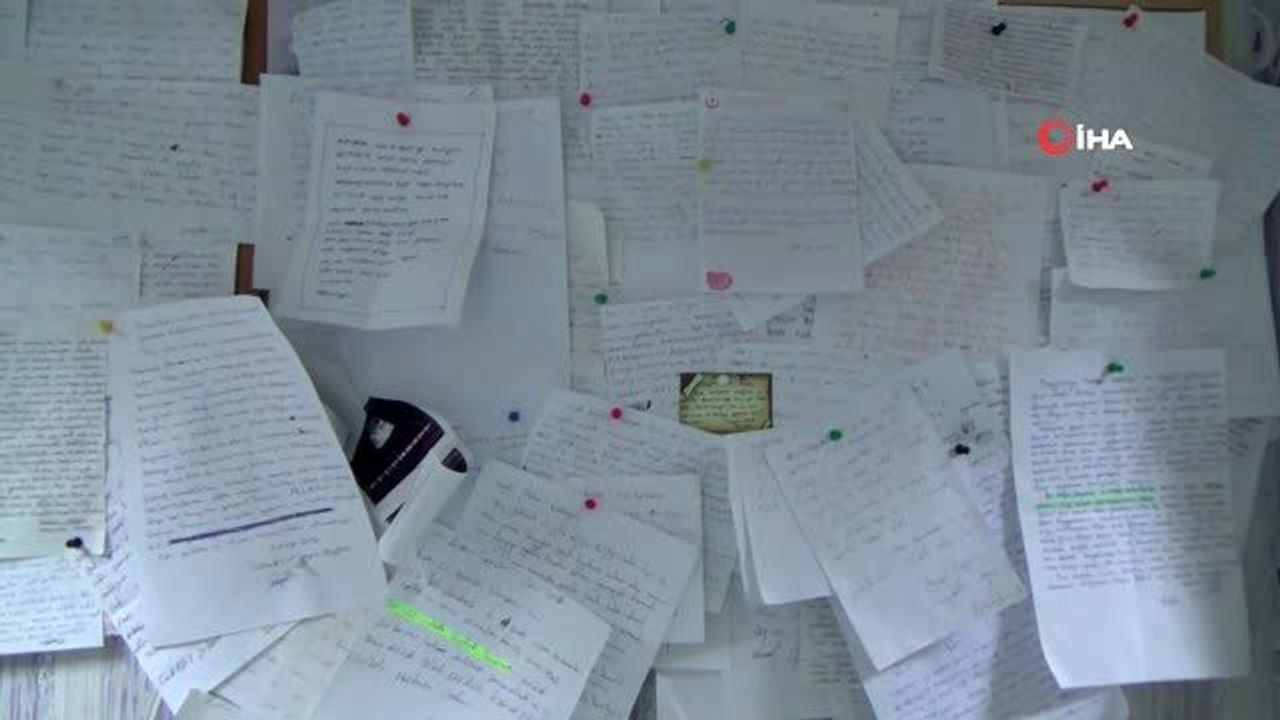 Profesör, tüp bebekte başarıyı arttırmak için 'Klinik psikoloji' alanında doktora yaptı