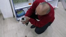 Havalandırma boşluğuna düşen yavru kediyi itfaiye kurtardı