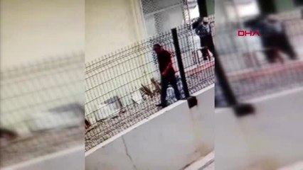 Antalya 91 yaşındaki kadını gasbeden şüpheli testere almak için tahtanın üzerine çıktı, düştü-arşiv