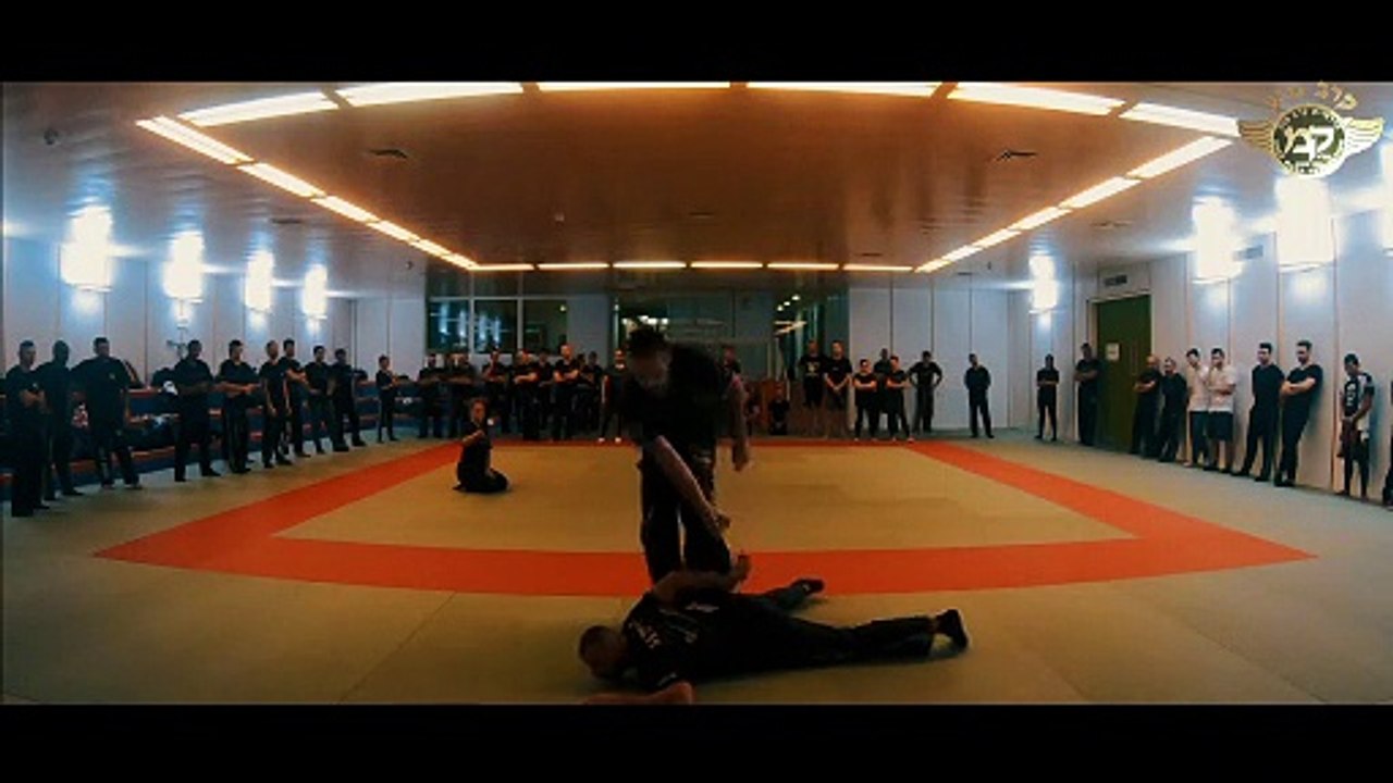 Krav Maga Switzerland Course by Alain Cohen krav-maga-on-line.com