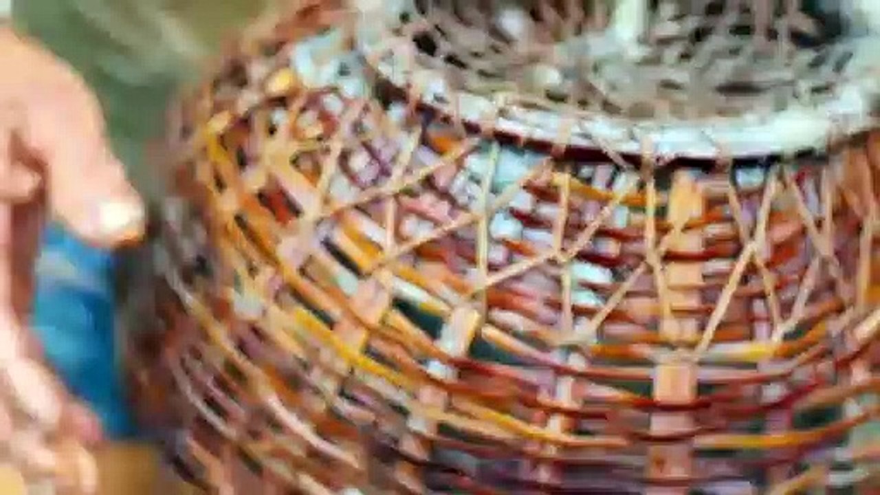 Indian And Bangladeshi woman Fishing with bare Hands