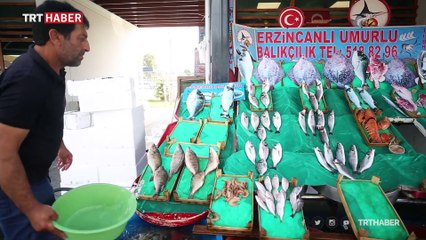 Denizlerdeki balık stokları azalıyor