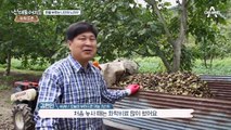 호두로 억대매출! 돈을 부르는 장인의 비법은?