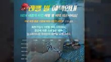 방패루비 RUBY▶️방패루비 루비 RUBY 출석체크 600만원 이벤트◀️루비문의 카톡: @ruby247▶️방패루비 루비 RUBY 출석체크 600만원 이벤트◀️방패루비 RUBY