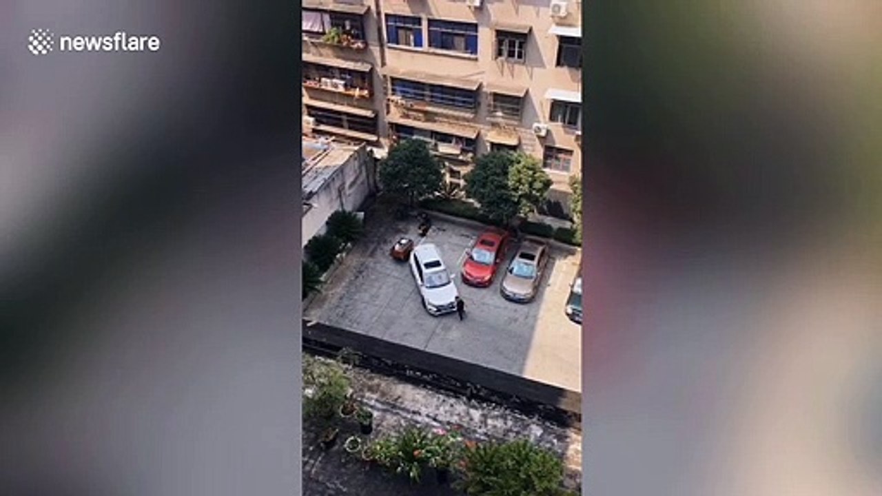 Chinese motorist fails to reverse into parking spot over a dozen times before giving up