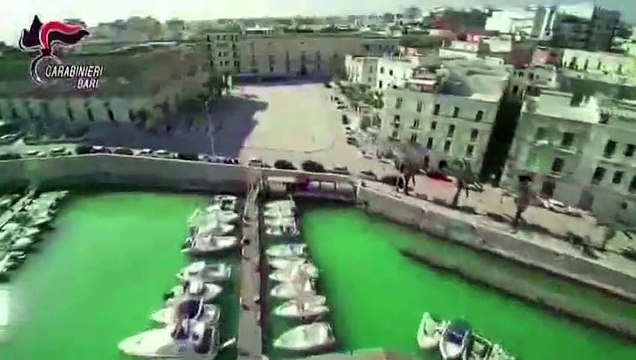 Furti nelle case in tutta la BAT: 80 Carabinieri arrestano 14 persone specializzate nei furti fantasma - ecco il video e come agivano