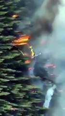 Кремль поджигает с вертолетов сибирскую тайгу!!!