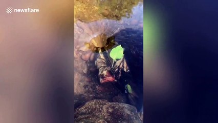 Mysterious whirlpool sucks leaves down into the depths below