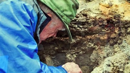 TV CULTURA - MATÉRIA DE CAPA - DINOS, A HORA FINAL