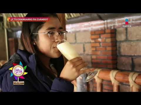¡Sajid conoció a un joven que invirtió en el negocio del café! | Sale el Sol