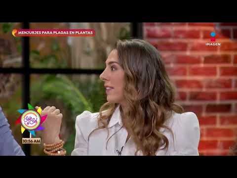 Menjurjes para combatir plagas en tus plantas | Sale el Sol