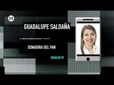 Leyes secundarias de la Reforma Educativa son un retroceso: senadora Guadalupe Saldaña