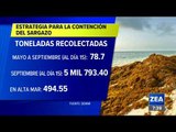 Más de 78 toneladas de sargazo se han recolectado en playas de México | Francisco Zea