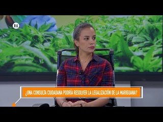 Importante consulta ciudadana para legalización de la cannabis; señaló Lorena Beltrán