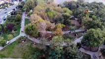 Okmeydanı'nda depremin ardından evlerine giremeyen vatandaşlar parklara akın etti