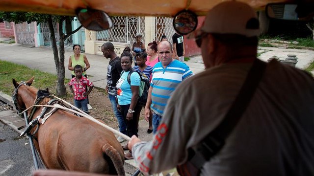 Кубинцы запрягают лошадей